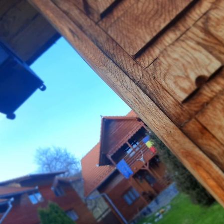 Pensiunea Codru Sălciua de Jos Exteriér fotografie