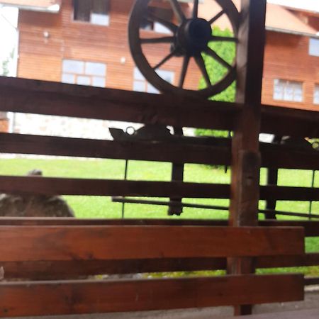 Pensiunea Codru Sălciua de Jos Exteriér fotografie