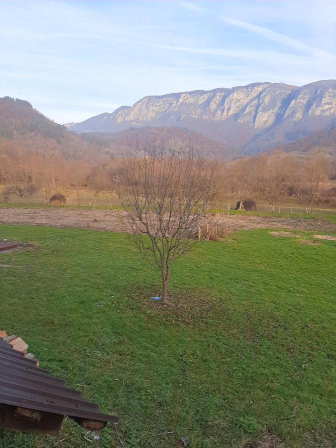 Pensiunea Codru Sălciua de Jos Exteriér fotografie