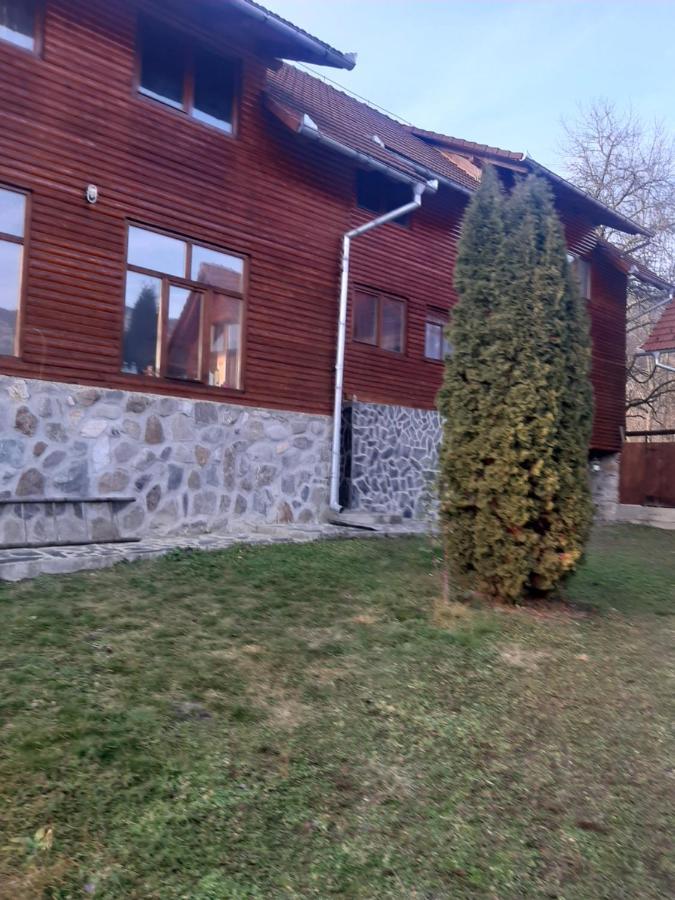 Pensiunea Codru Sălciua de Jos Exteriér fotografie