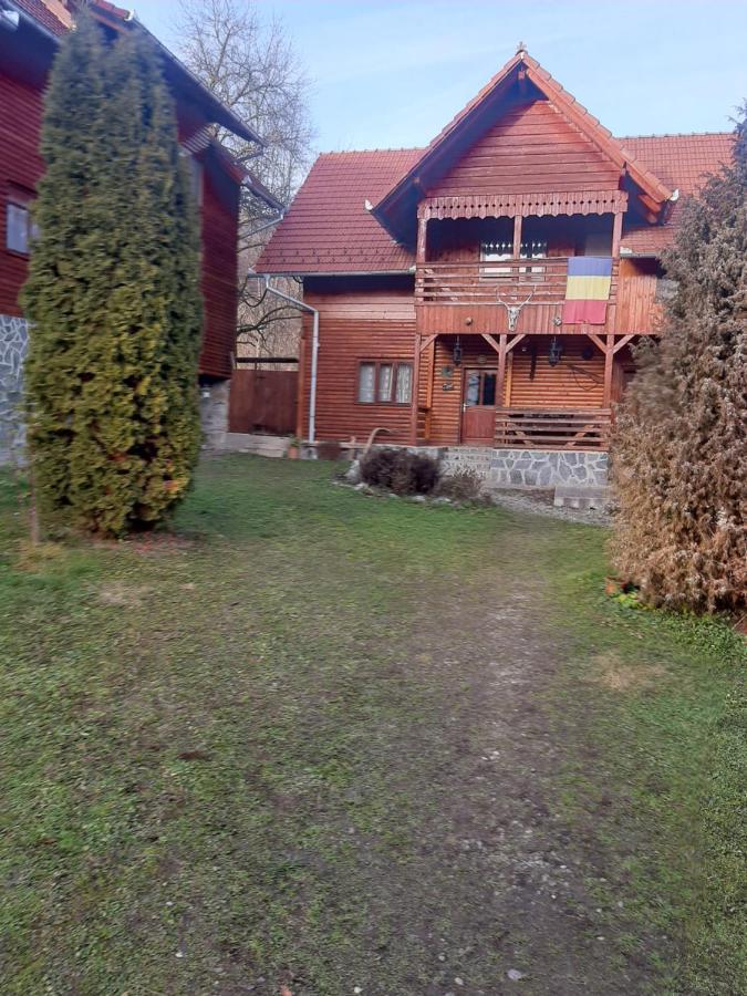 Pensiunea Codru Sălciua de Jos Exteriér fotografie