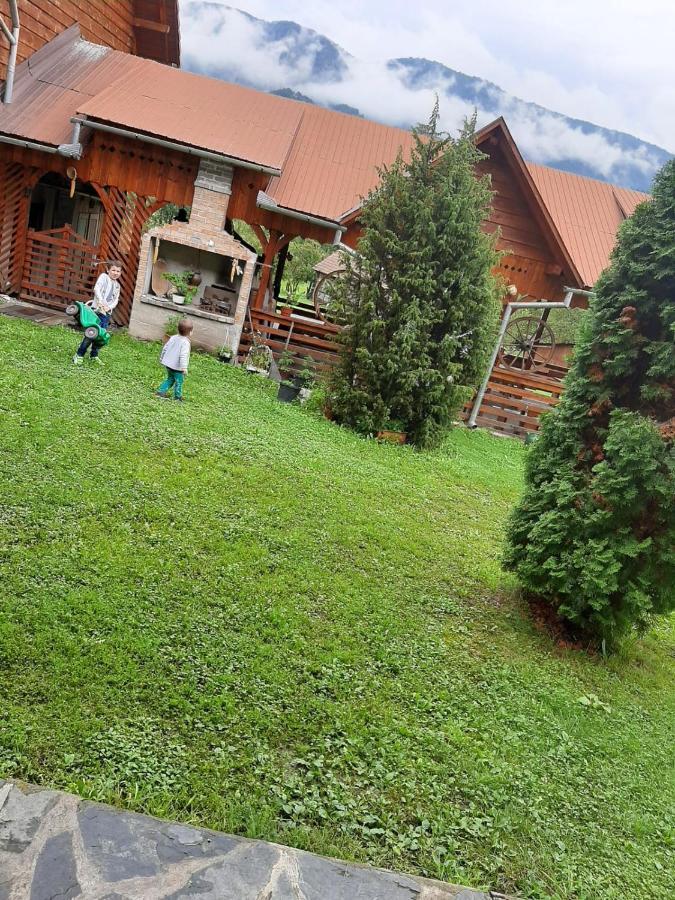 Pensiunea Codru Sălciua de Jos Exteriér fotografie