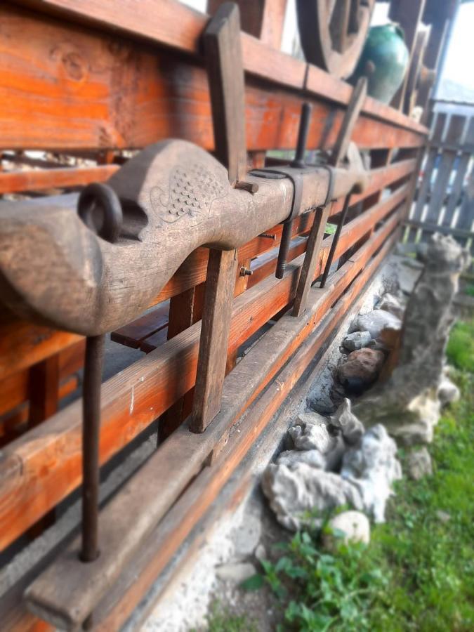 Pensiunea Codru Sălciua de Jos Exteriér fotografie