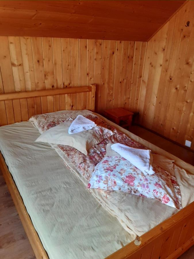 Pensiunea Codru Sălciua de Jos Exteriér fotografie