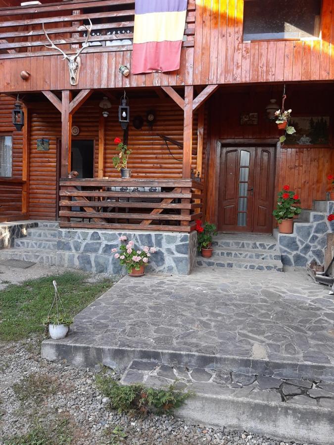 Pensiunea Codru Sălciua de Jos Exteriér fotografie