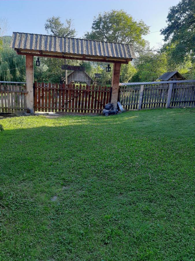 Pensiunea Codru Sălciua de Jos Exteriér fotografie
